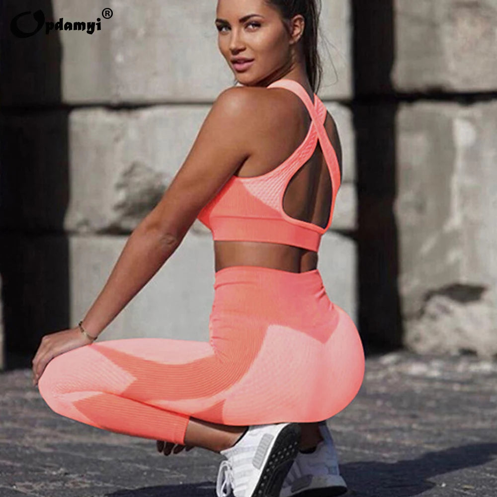 Seamless Workout Yoga Sets Female Sport Gym suit